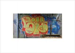 Graffiti A3 print op A3+ muur stokroos zwaan.jpg